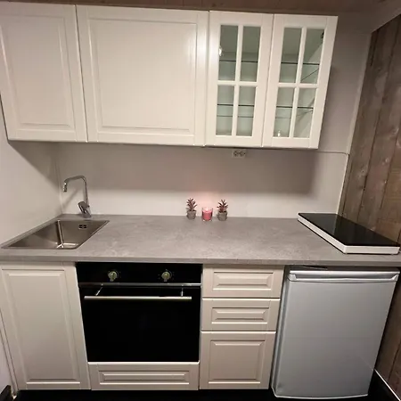 Apartament Voss-oppheim Pool&sauna Voss & Flom - L2 Oyjordi